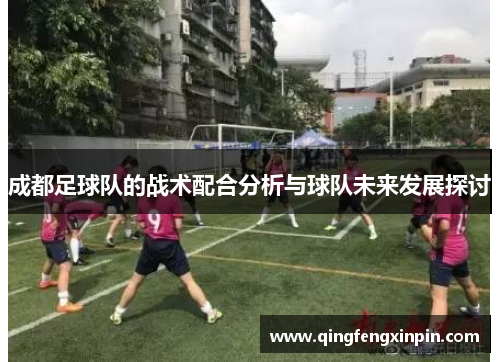 成都足球队的战术配合分析与球队未来发展探讨