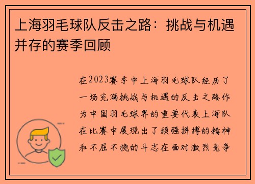 上海羽毛球队反击之路：挑战与机遇并存的赛季回顾
