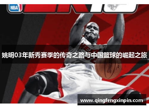 姚明03年新秀赛季的传奇之路与中国篮球的崛起之旅